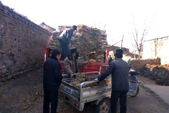 ���á���С���ůƶ����ɽ����Ͷ�������Ű���װ���