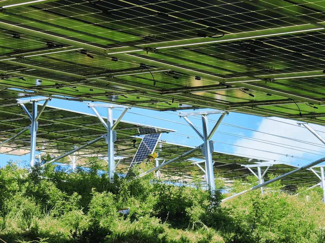 �����У�ɽ����Ͷ�彨�����ԡ�����������ܡ���̬�̡�