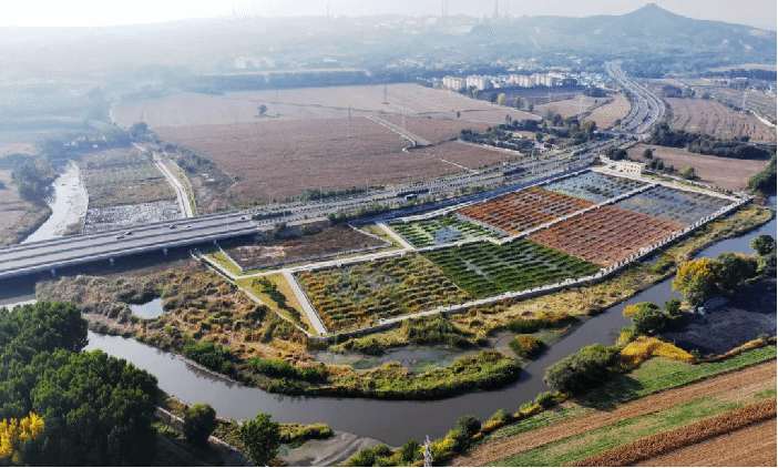 ɽ����Ͷ������������Ƽ�Ч����ɽ��ʡס�����Ƽ�Ч���Һ�