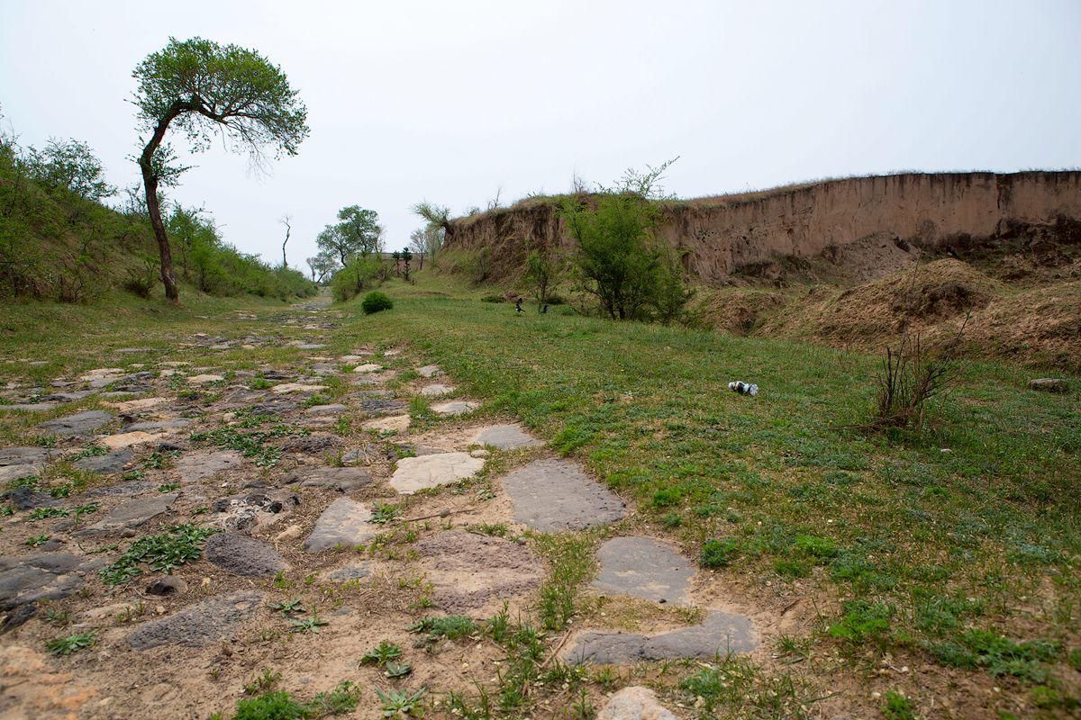 GGPoker��(�й���½)Ψһ�ٷ���վ